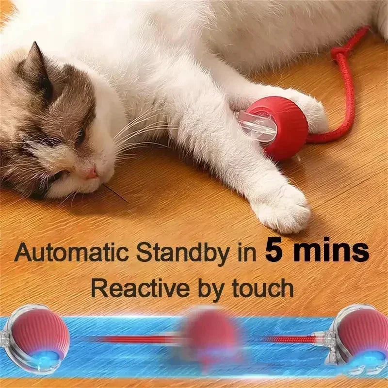Cat Interactive Ball Rolling Ball 
Rechargeable Training Mouse