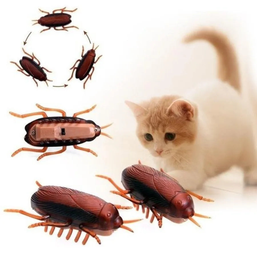 Cockroaches Interactive Training