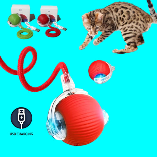 Cat toy with USB charging feature and a cat playing with it on a blue background.
