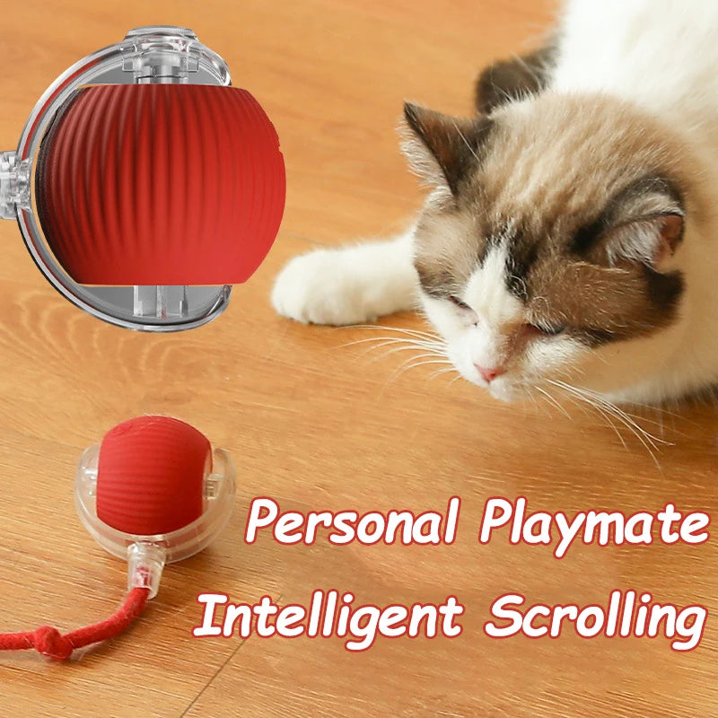 Interactive Ball Rolling Ball Rechargeable Training Mouse