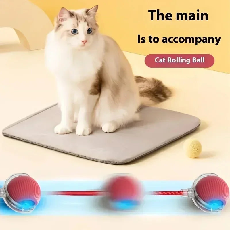 Cat Toys Rechargeable Pet Interactive Automatic Rolling Ball Toy Cats Pet Products New Electric Dog Ball Toy Simulated Tail for