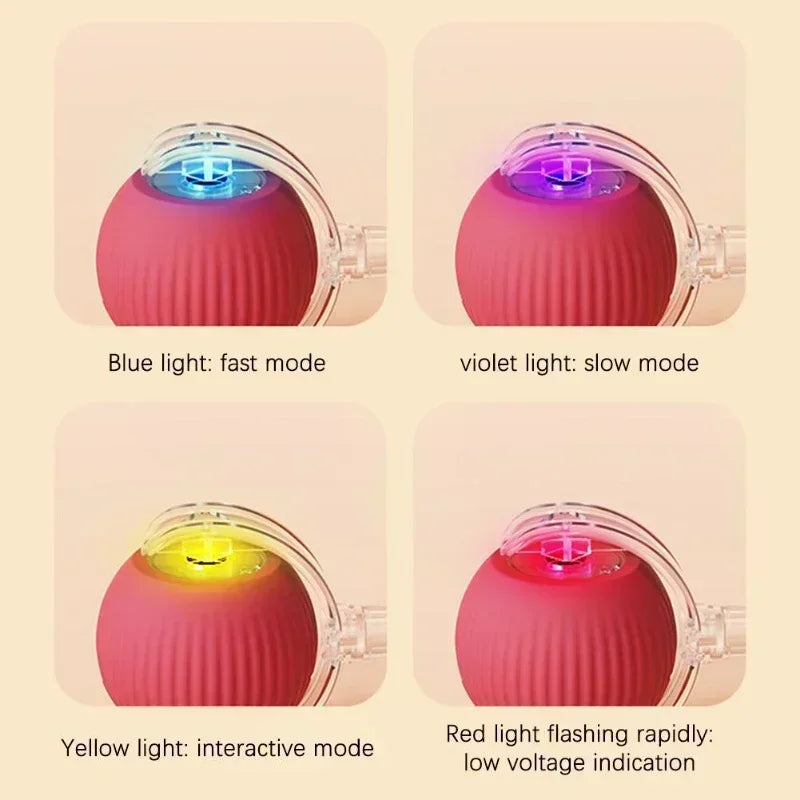 Cat Interactive Ball Rolling Ball 
Rechargeable Training Mouse