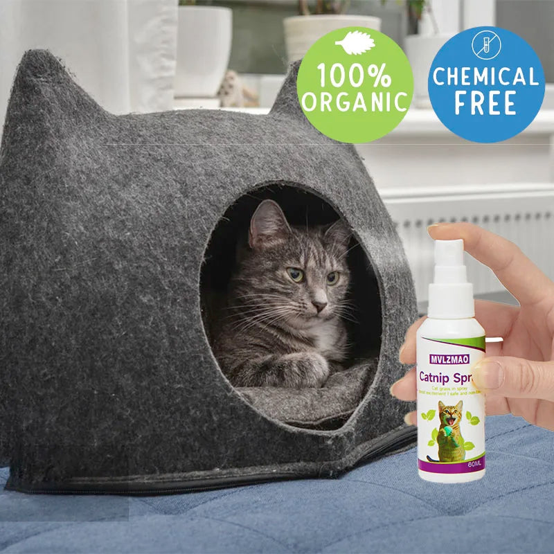 Catnip Spray for Cats, Cat Scratching Spray Mist, Transparent Cat & Kitten Behaviour Spray 60 ml Spray Bottle for Training
