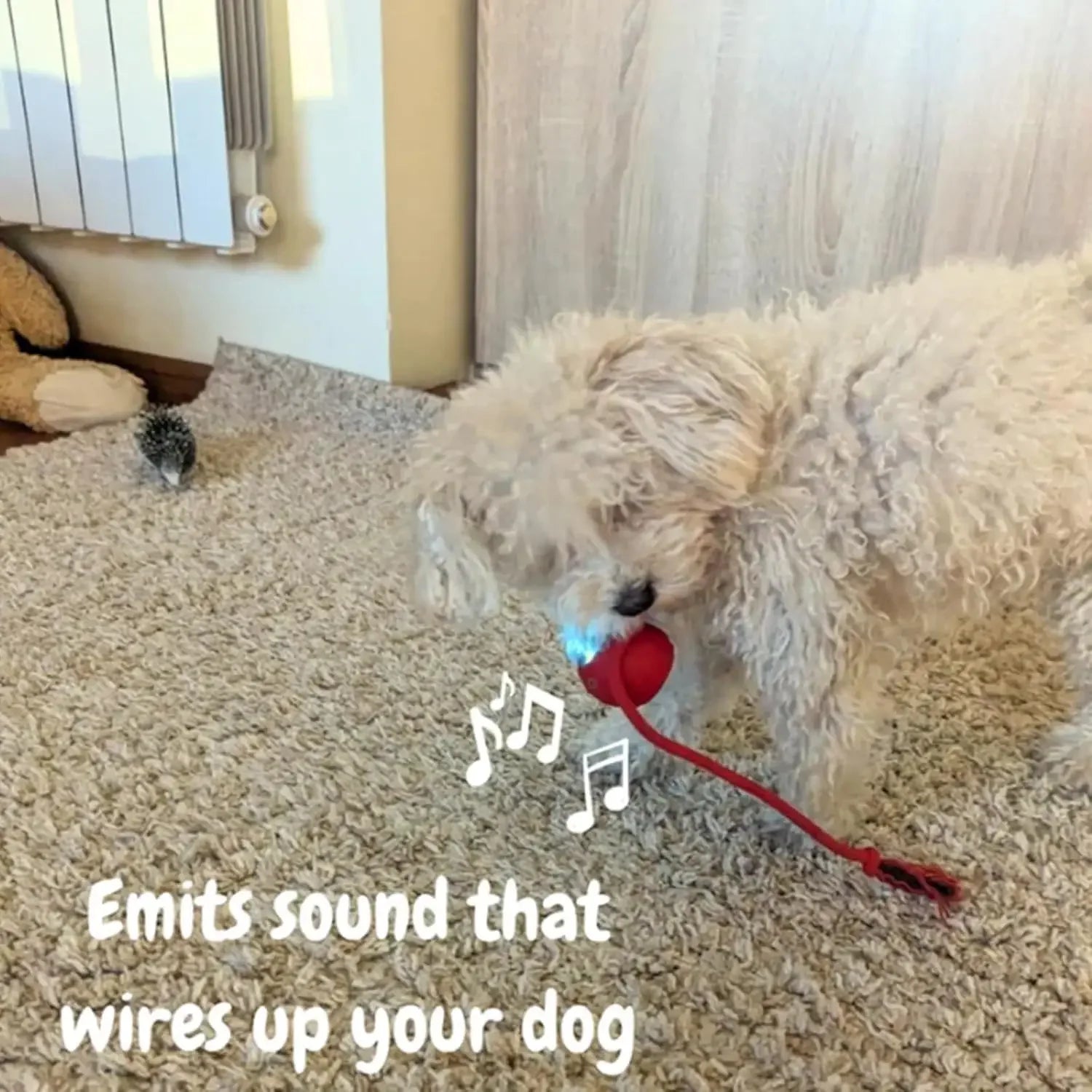 Rolling Ball Interactive Electric Training Rat Rechargeable