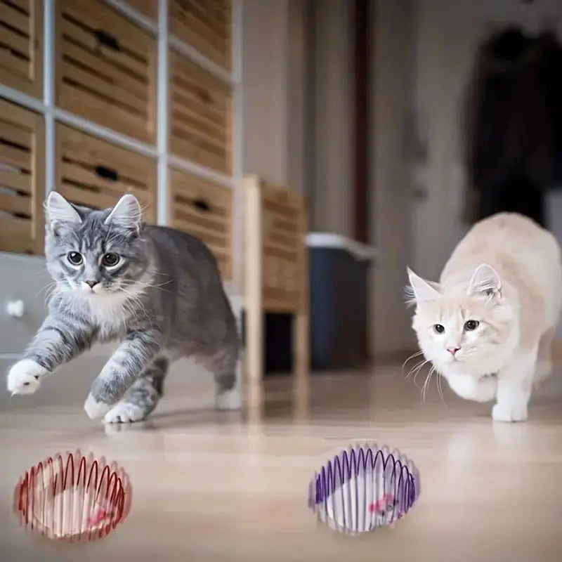 Balls Stretchable Springs Interactive Caged Rats Color
