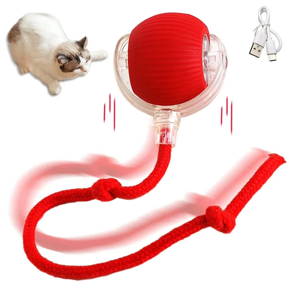 1/2PCS Interactive Ball Electric Rolling USB Rechargeable