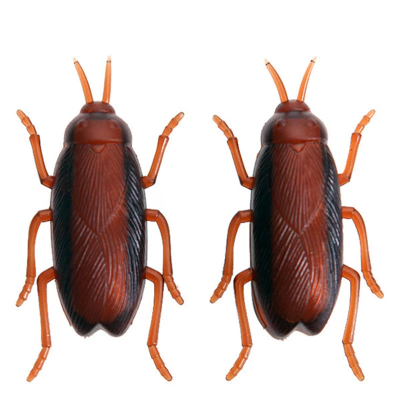 Cockroaches Interactive Training