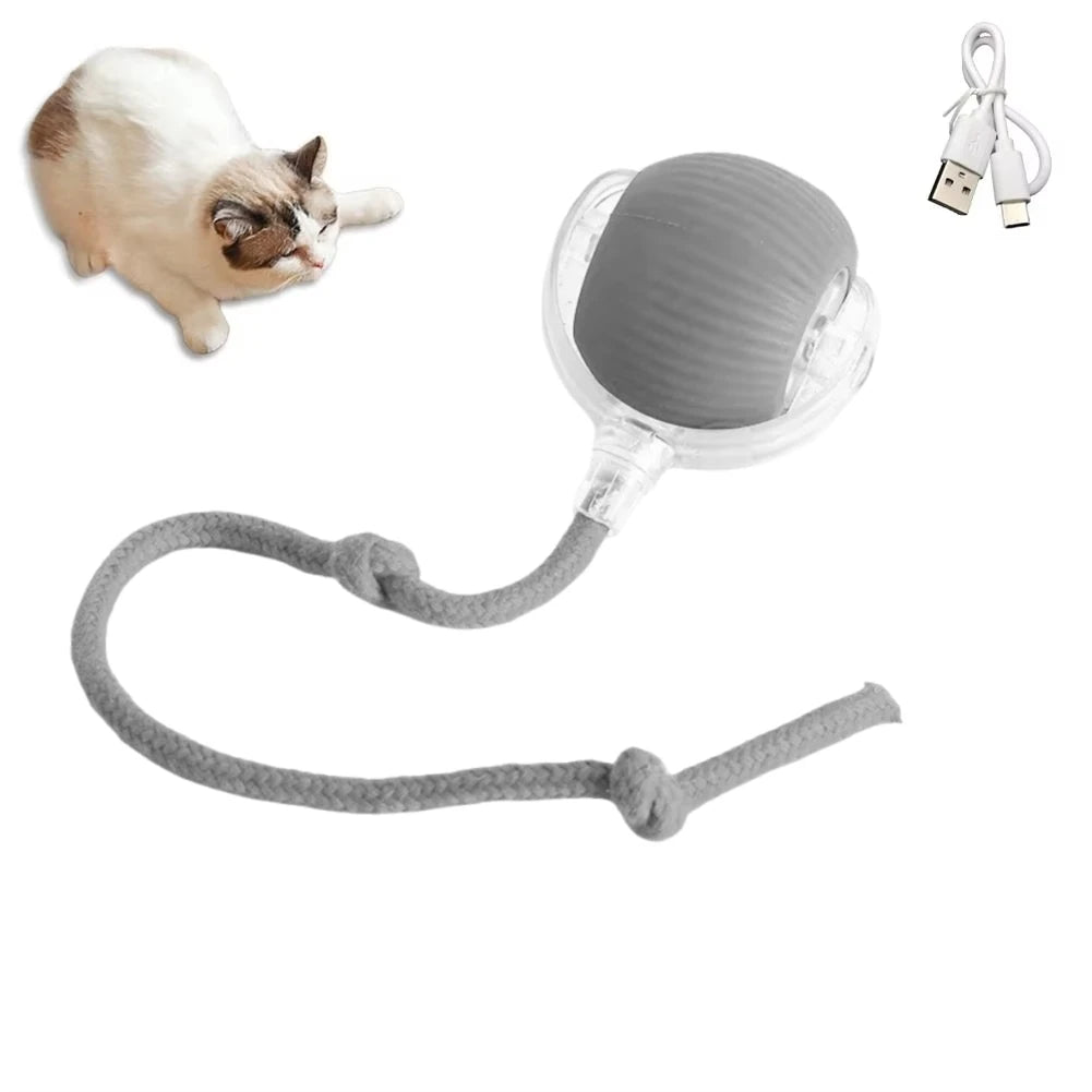 1/2PCS Interactive Ball Electric Rolling USB Rechargeable
