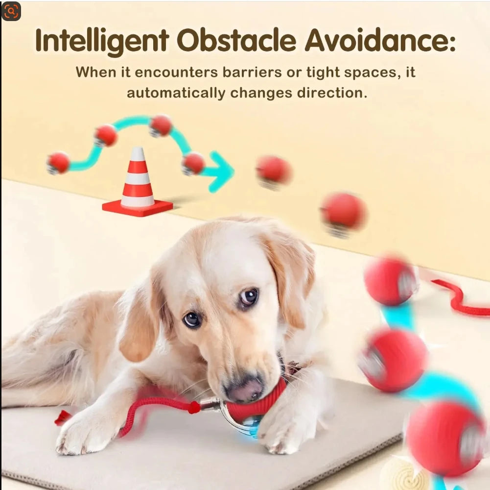 Interactive Cat Toys Ball Automatic Rolling Rechargeable Smart Obstacle Avoid Running Toys for Energetic Indoor Cats