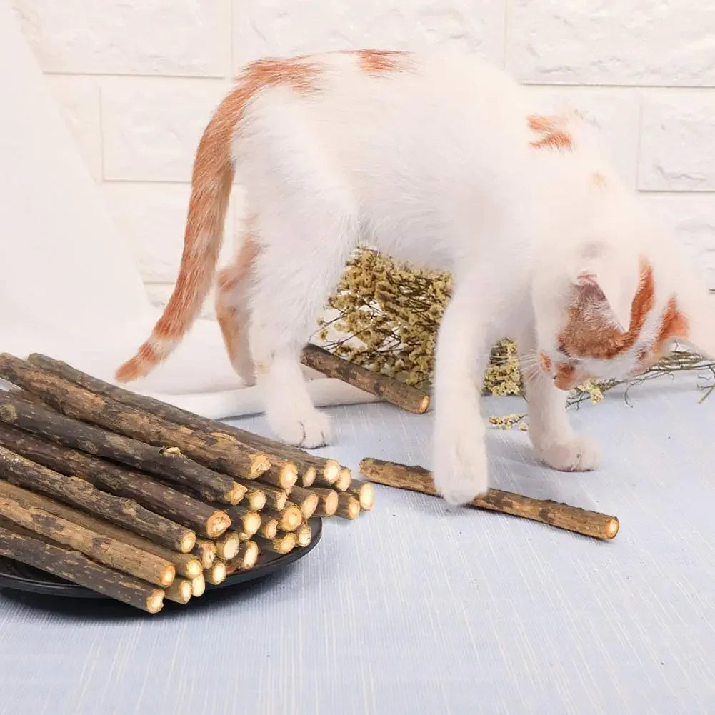 15pcs Natural Matatabi Cat Catnip Toy Kitten Molar Chew Stick Pet Cleaning Teeth Cat Treat Toy Actinidia Silvervine Pet Products
