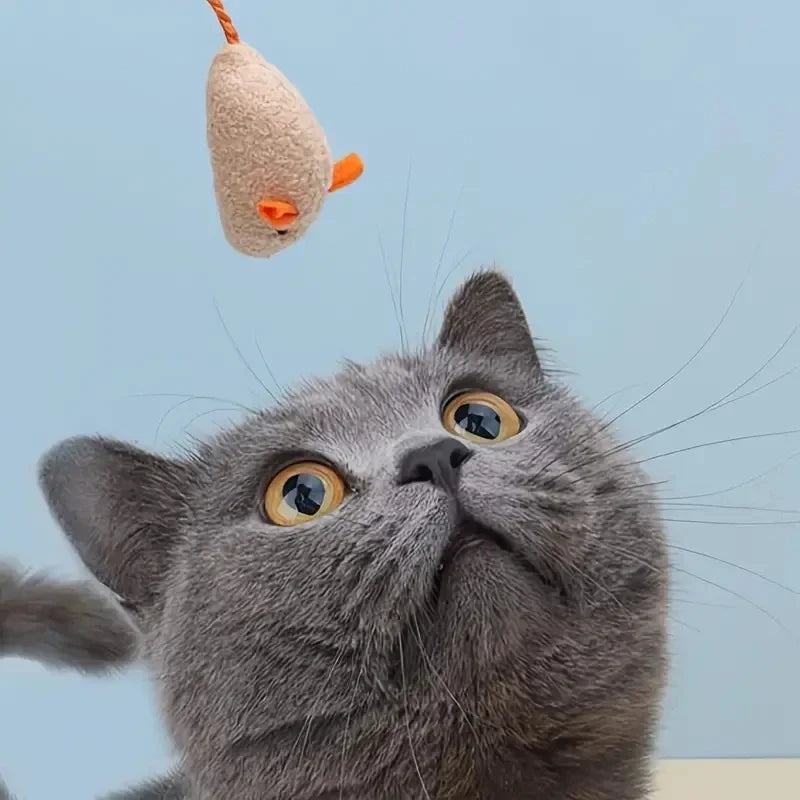 3/7PCS Interactive Durable Linen