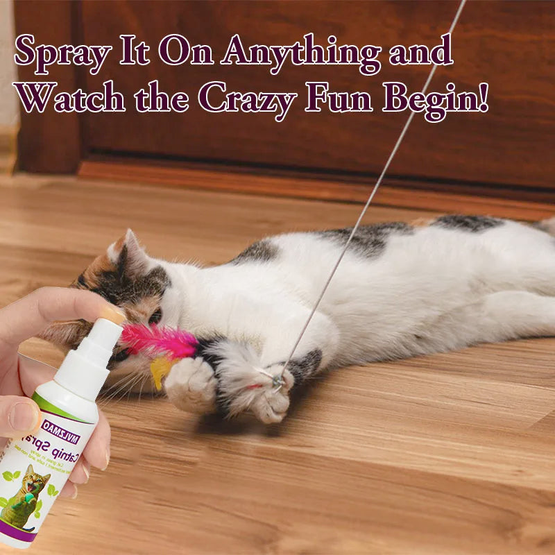 Catnip Spray for Cats, Cat Scratching Spray Mist, Transparent Cat & Kitten Behaviour Spray 60 ml Spray Bottle for Training