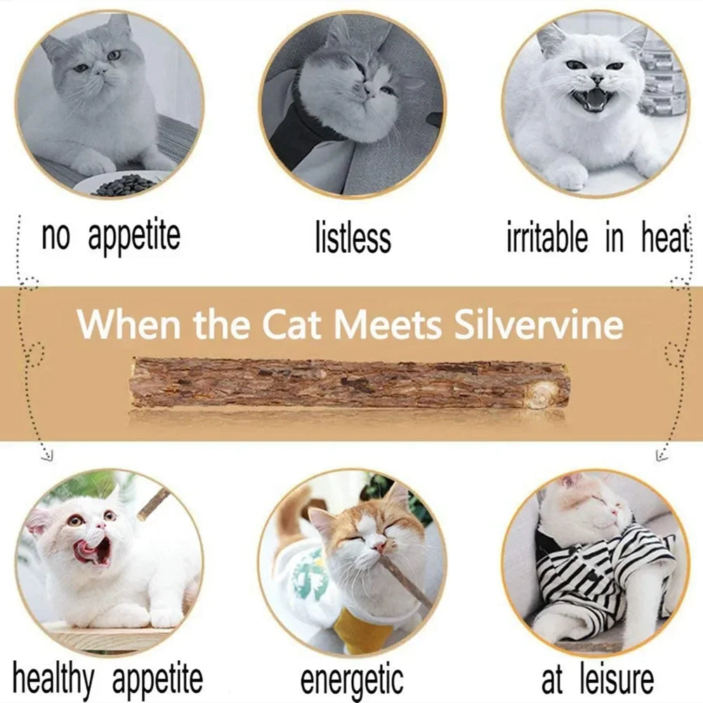 15pcs Natural Matatabi Cat Catnip Toy Kitten Molar Chew Stick Pet Cleaning Teeth Cat Treat Toy Actinidia Silvervine Pet Products