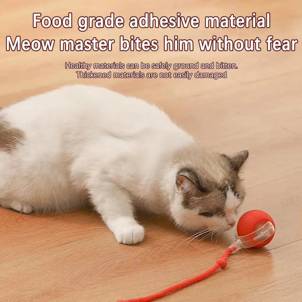 1/2PCS Interactive Ball Electric Rolling USB Rechargeable