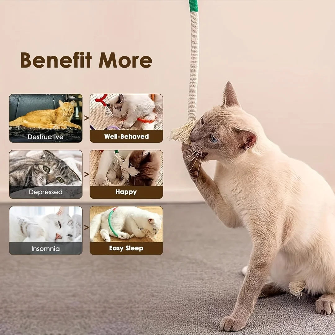 Cotton Chew Teeth Cleaning, Catnip Rope Nibbling Exercise Interactive Teething