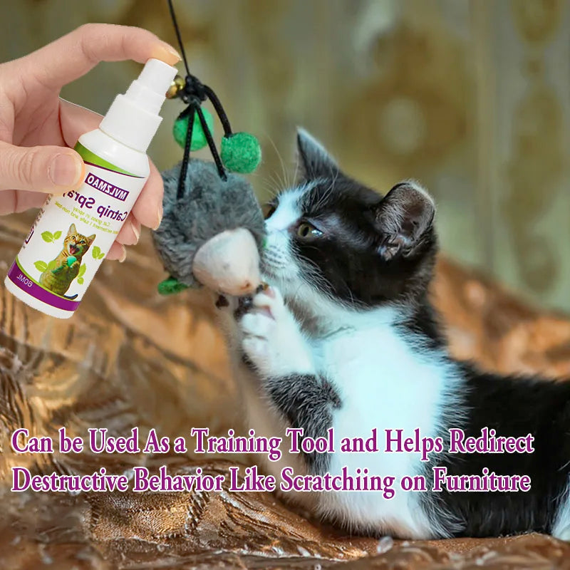 Catnip Spray for Cats, Cat Scratching Spray Mist, Transparent Cat & Kitten Behaviour Spray 60 ml Spray Bottle for Training