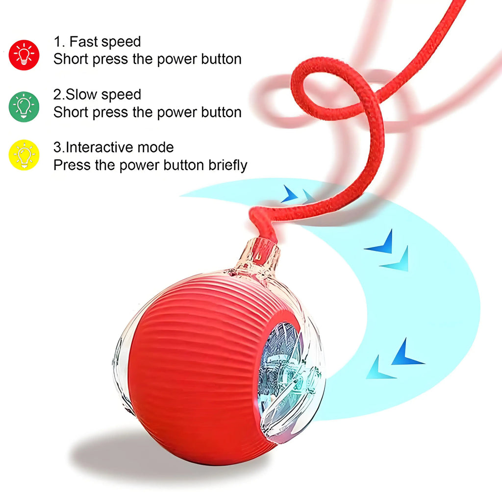 Interactive Cat Toys Ball Automatic Rolling Rechargeable Smart Obstacle Avoid Running Toys for Energetic Indoor Cats