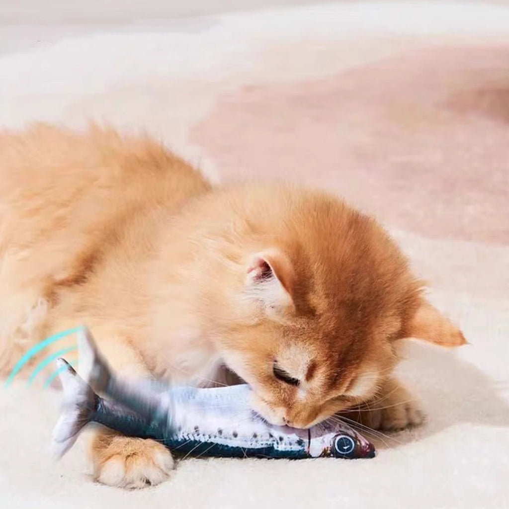 Simulation Fish Catnip Toy Anti-Bite Activated Kitten Toy Interactive Cat Exercise Toys for All Breeds Cat Kicker