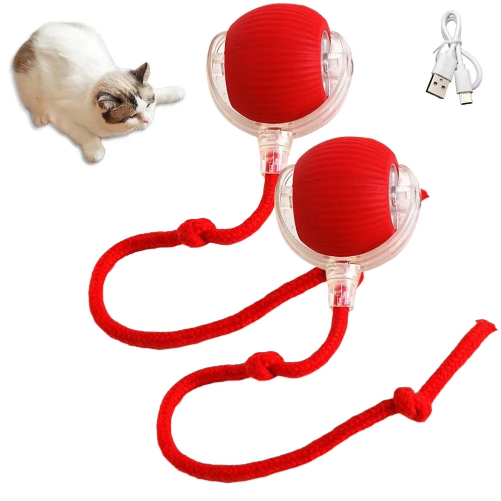 1/2PCS Interactive Ball Electric Rolling USB Rechargeable