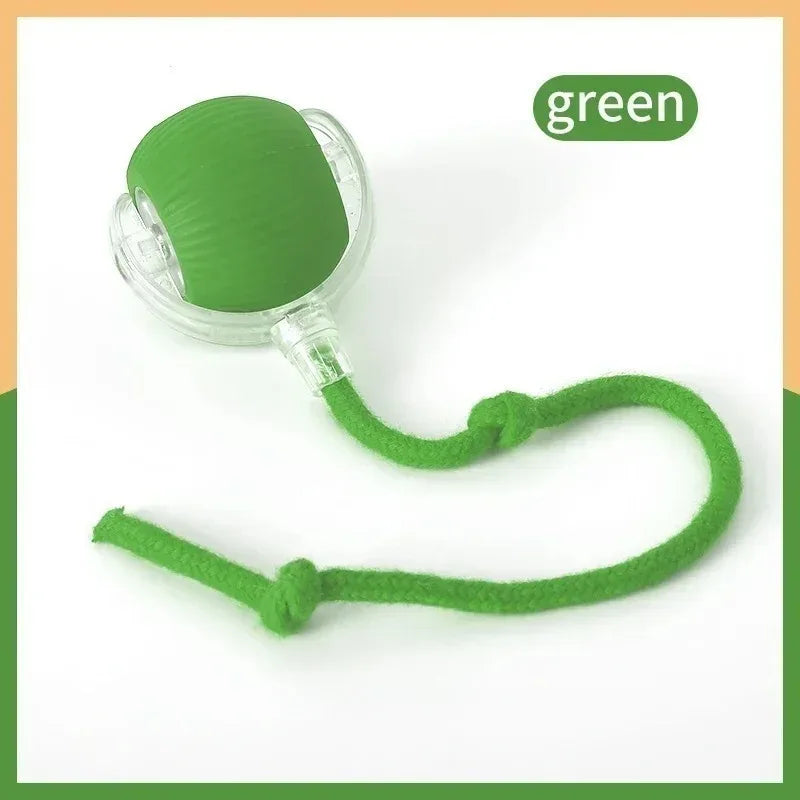 Interactive Ball Rolling Ball Rechargeable Training Mouse