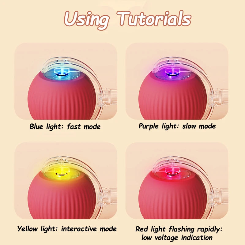 Interactive Ball Rolling Ball Rechargeable Training Mouse