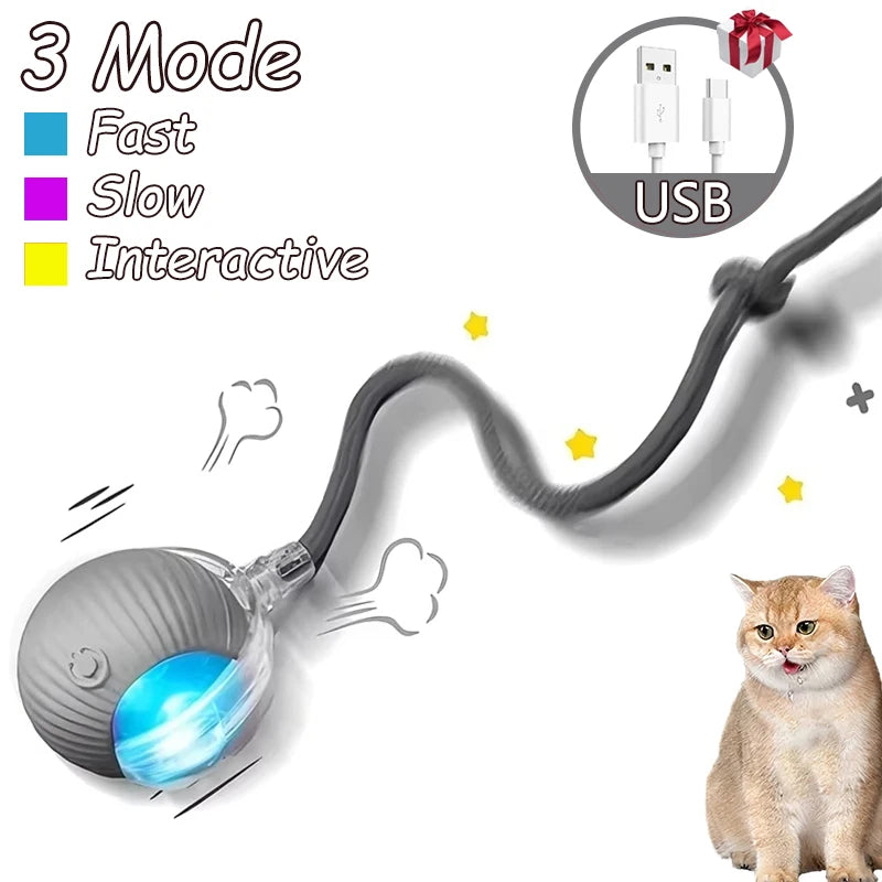2Pcs Cat Interactive Ball Toys Automatic Rolling Ball Faux Tail Rechargeable Smart Pet Electric Toy Cat Training Imitate Mouse