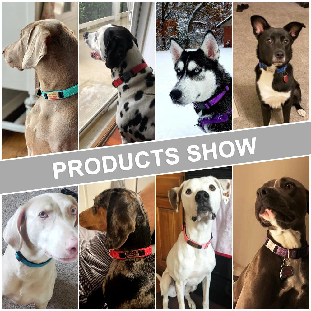 Adjustable Reflective Dog Collar Nylon Custom Engraved Name ID Tag Personalized Luminous Puppy Gleamy Large Unisex Dog Collar