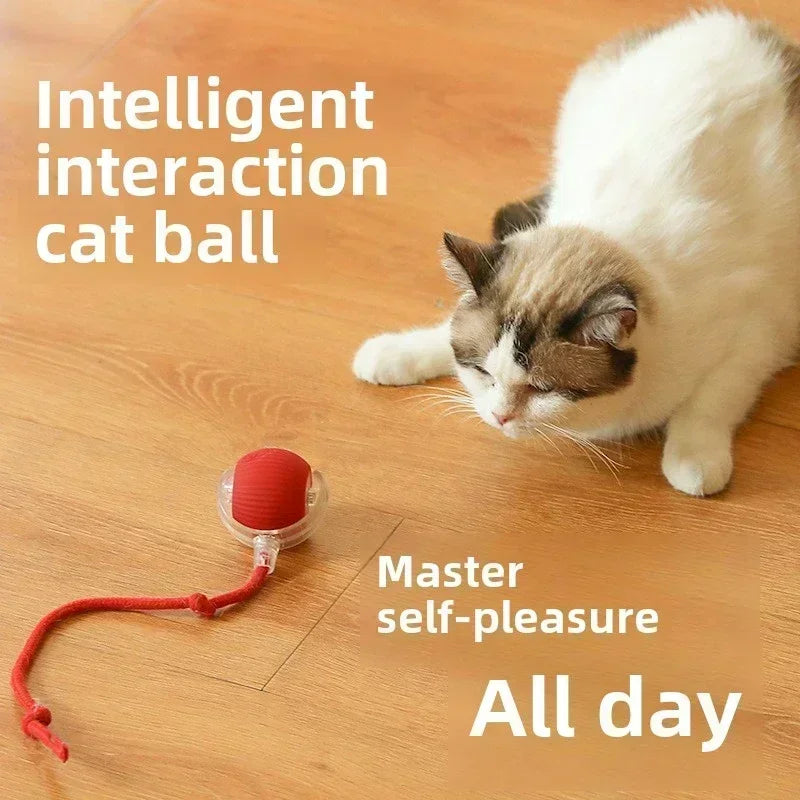 Cat Interactive Ball Rolling Ball 
Rechargeable Training Mouse