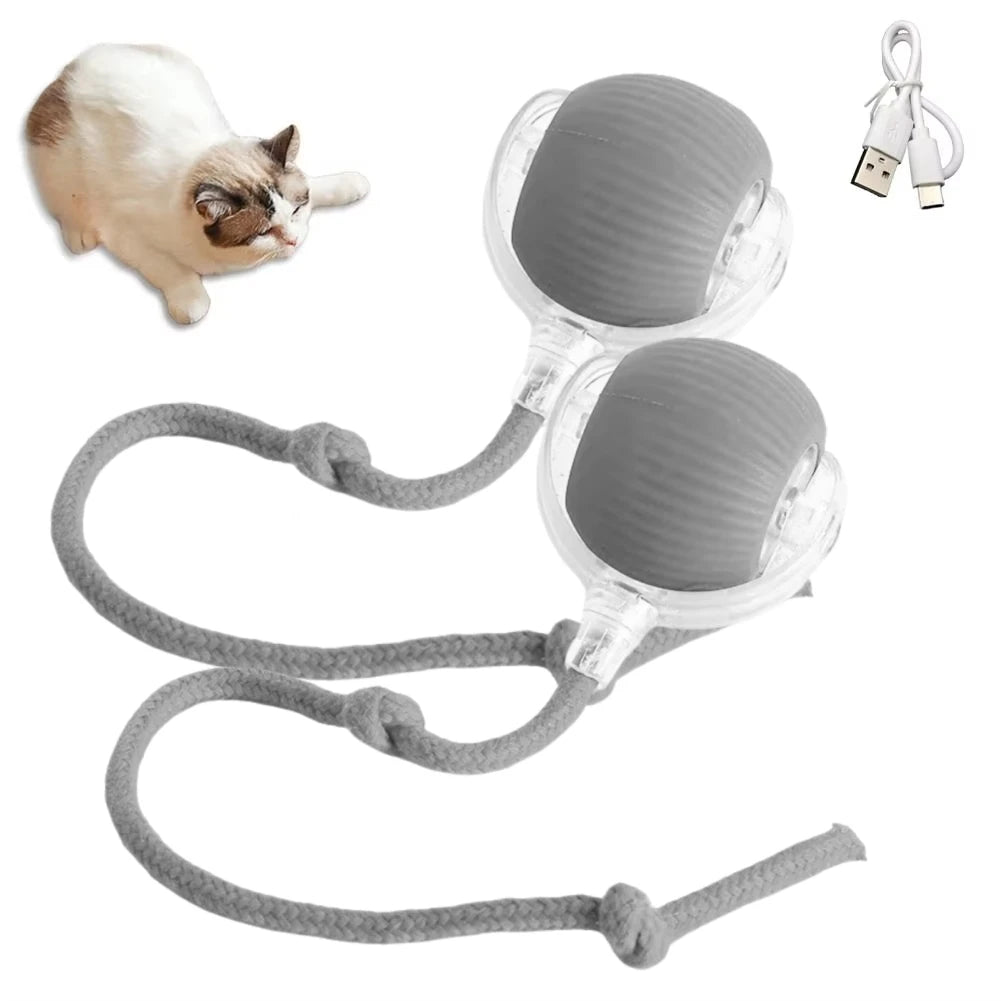1/2PCS Interactive Ball Electric Rolling USB Rechargeable