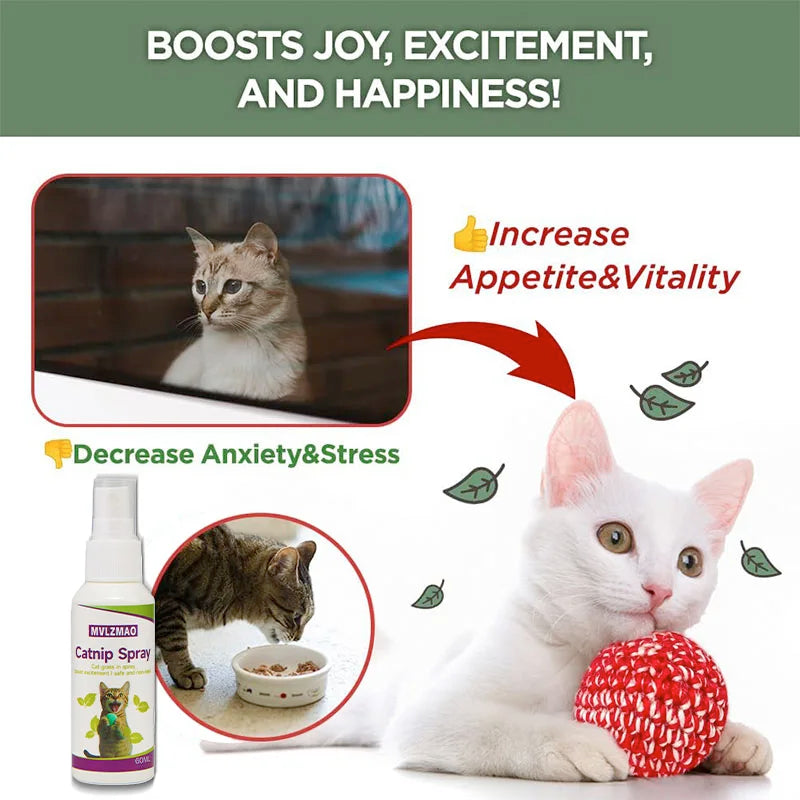 Catnip Spray for Cats, Cat Scratching Spray Mist, Transparent Cat & Kitten Behaviour Spray 60 ml Spray Bottle for Training