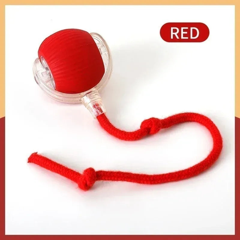 Interactive Ball Rolling Ball Rechargeable Training Mouse