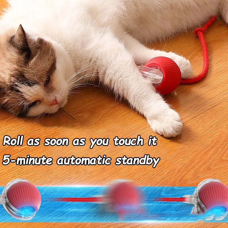 Interactive Ball Rolling Ball Rechargeable Training Mouse