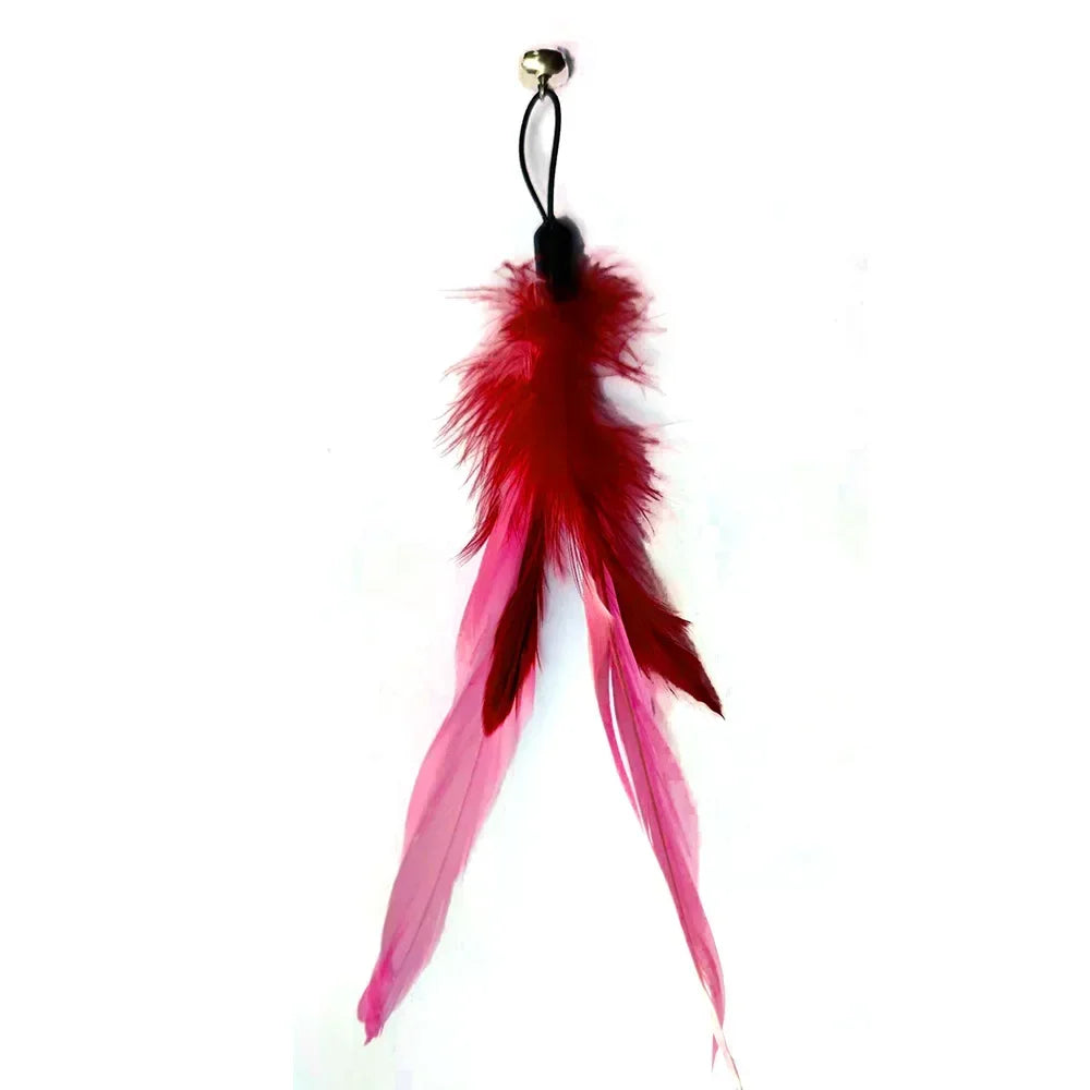 Feather Accessories Birds Worm Bell Interactive Replacement Refill Foam Ball Training
