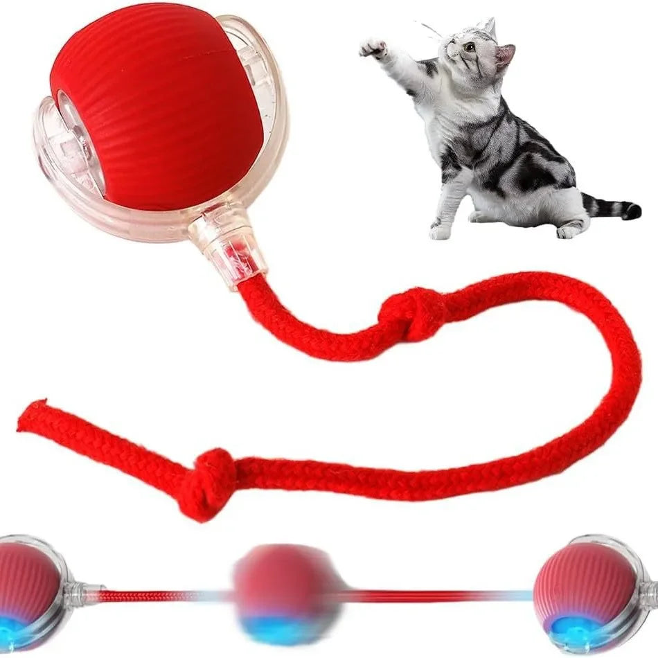 Rolling Ball Interactive Electric Training Rat Rechargeable