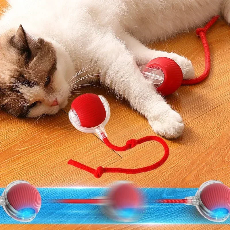Automatic Rolling Ball Interactive Ball Cat Toys Pet Supplies Electric Dog Training Cat Teaser simulated Rat Rechargeable
