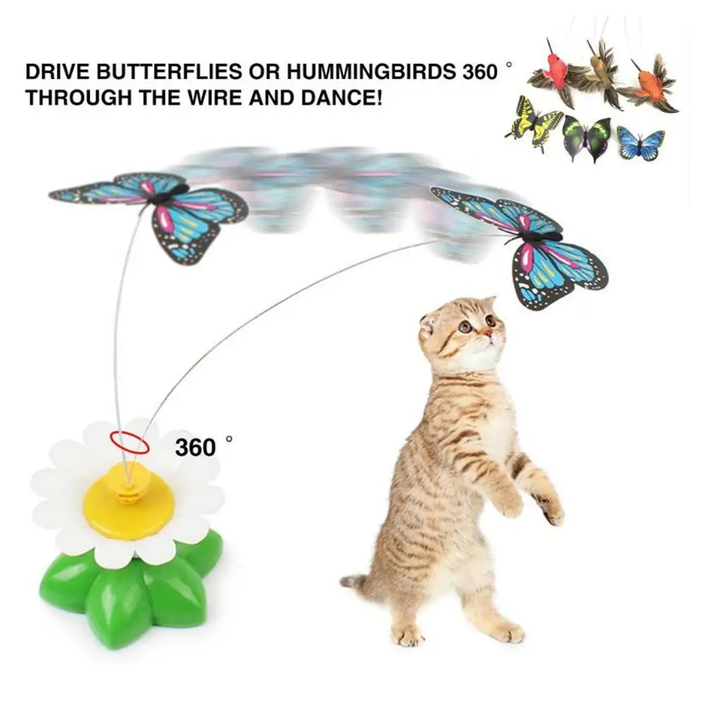 Butterfly Shake Rotating Flying Humming Bird Training Color