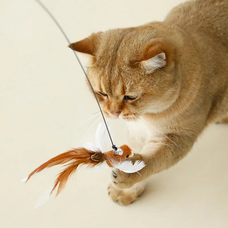Handfree Bird/Feather Wand Bell Suction Cup Interactive Hunting Exercise