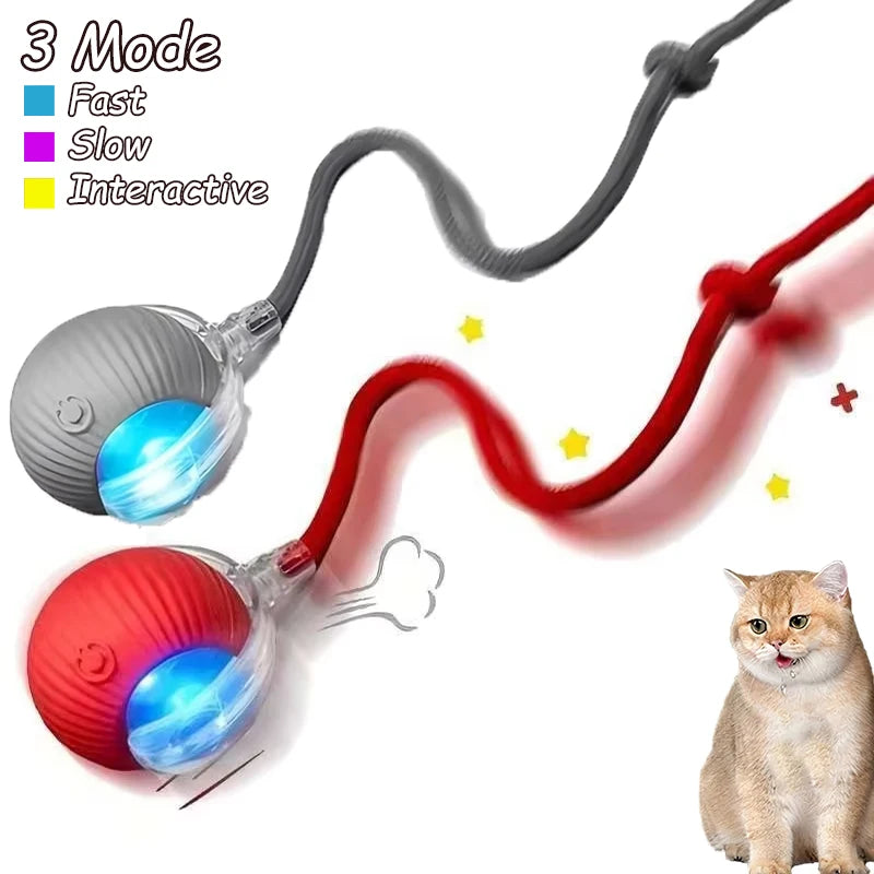 2Pcs Cat Interactive Ball Toys Automatic Rolling Ball Faux Tail Rechargeable Smart Pet Electric Toy Cat Training Imitate Mouse