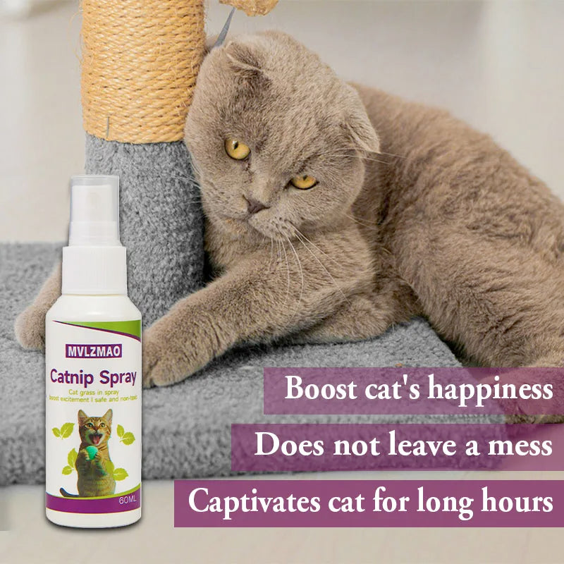 Catnip Spray for Cats, Cat Scratching Spray Mist, Transparent Cat & Kitten Behaviour Spray 60 ml Spray Bottle for Training